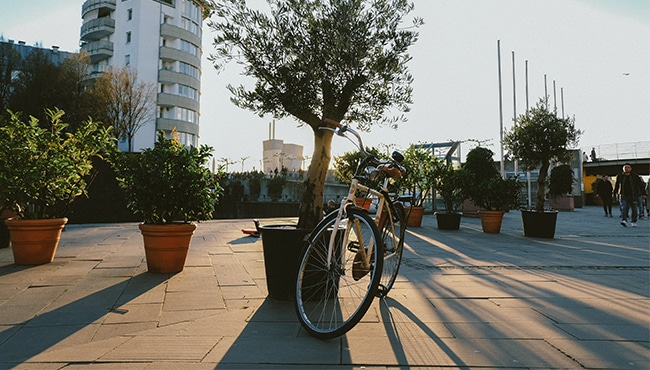 Mobilité-verte-yusuf-evli